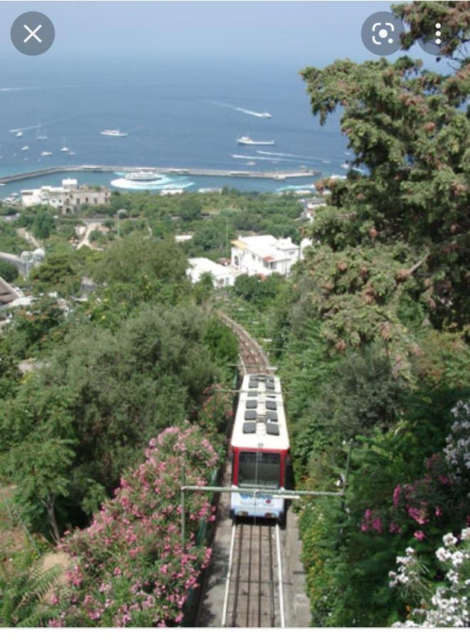 Capri Aquarium Family - Vacation Home エクステリア 写真