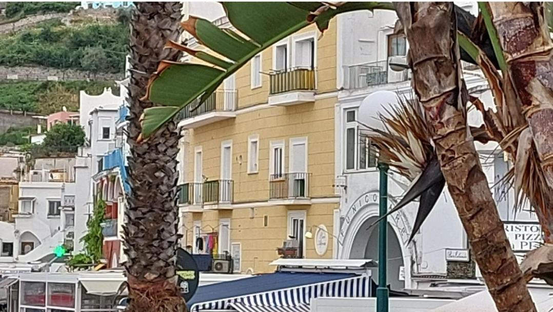 Capri Aquarium Family - Vacation Home エクステリア 写真